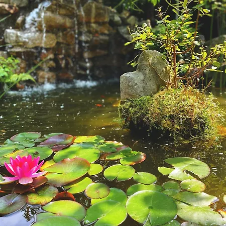 La Llosa De Samano 2* كاسترو أورديالس