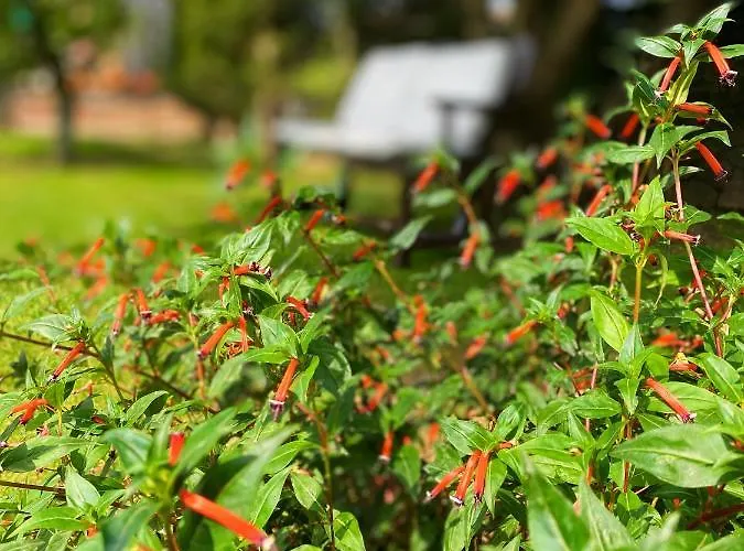 La Llosa De Samano Castro Urdiales