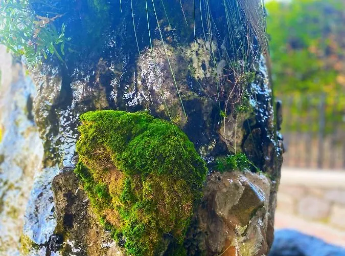 La Llosa De Samano 2*