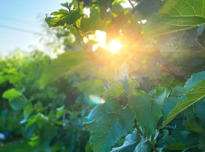 La Llosa De Samano Hotel Castro Urdiales