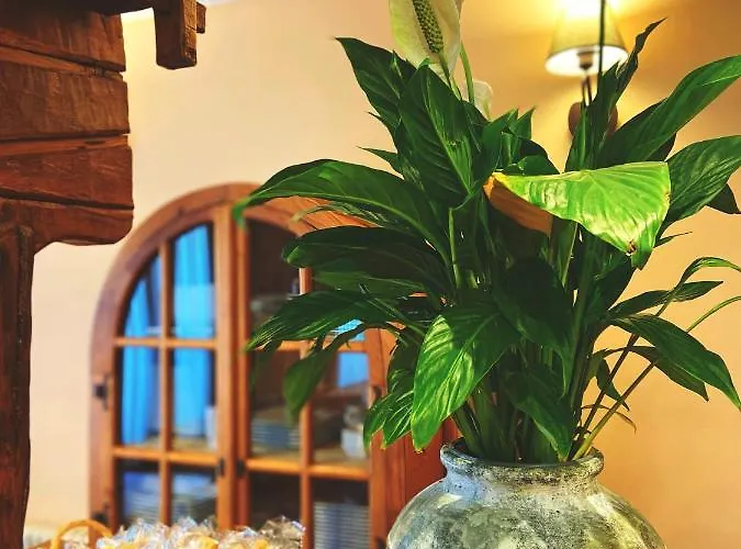 Hotel La Llosa De Samano 2*