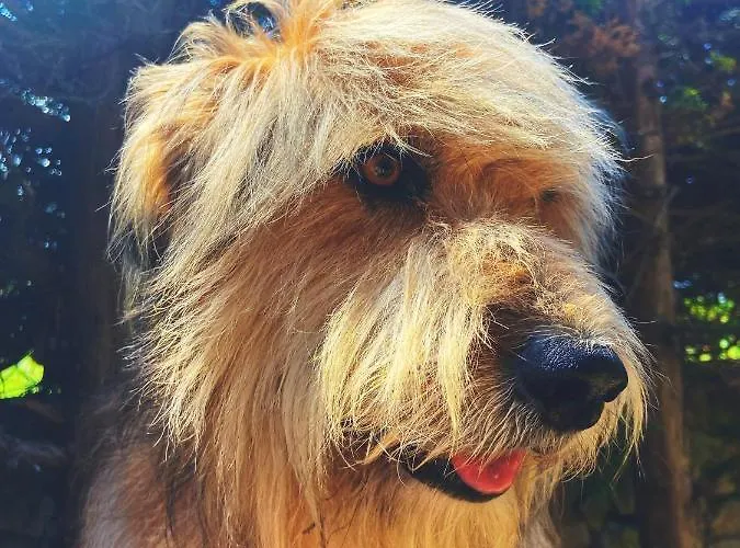 Hotel La Llosa De Samano