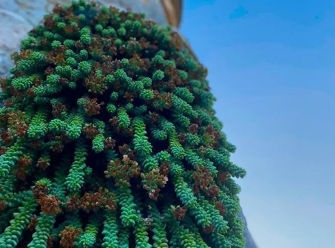 La Llosa De Samano Castro Urdiales