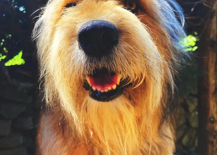 La Llosa De Samano Hotel