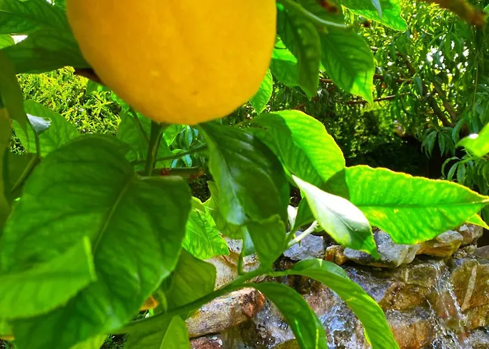 Hotel La Llosa De Samano