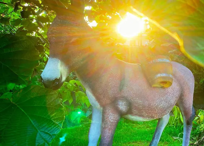 Hotel La Llosa De Samano 2*