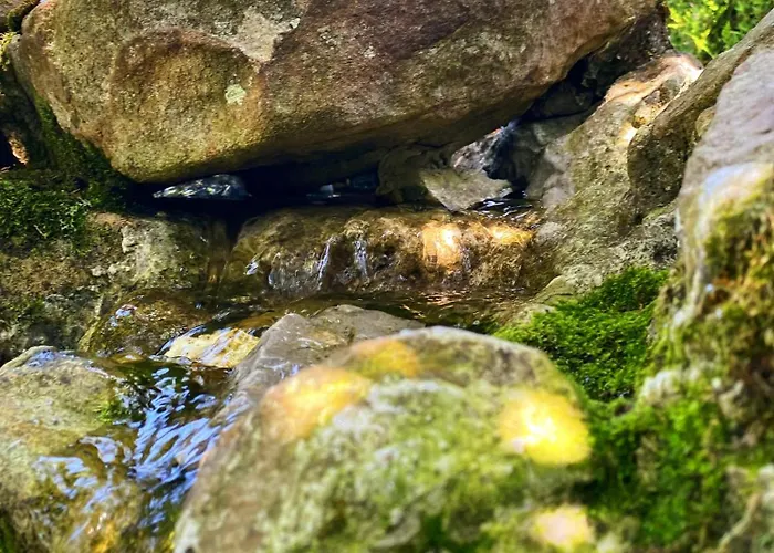 Hotel La Llosa De Samano 2*