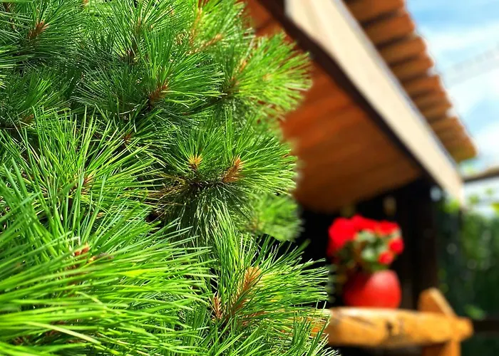 Hotel La Llosa De Samano Castro Urdiales