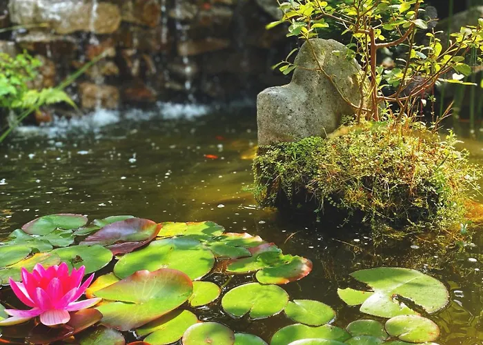 La Llosa De Samano 2* Castro Urdiales