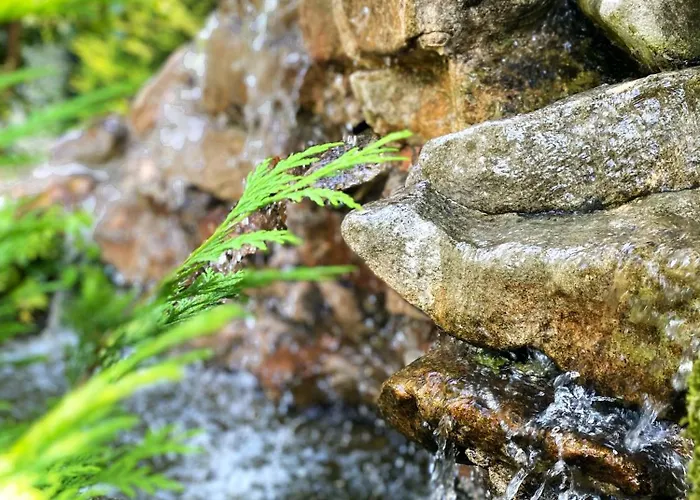 La Llosa De Samano Hotel 2*