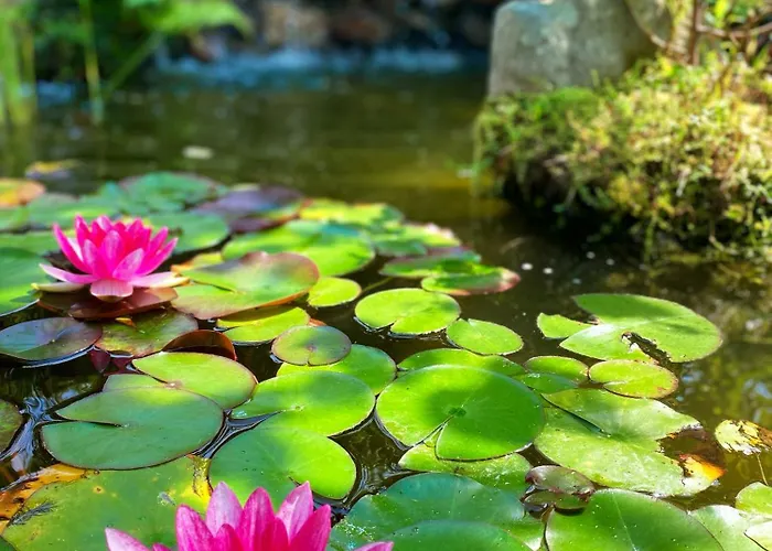 La Llosa De Samano Hotel