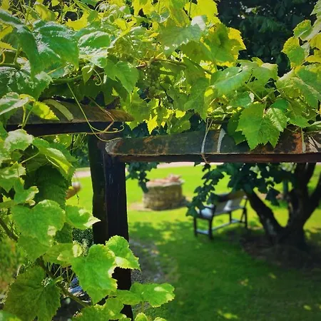 La Llosa De Samano Hotel