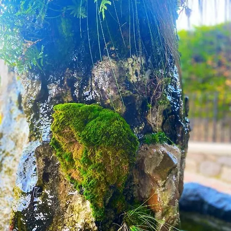 La Llosa De Samano 2*