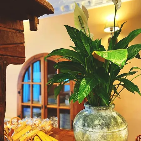 Hotel La Llosa De Samano 2*