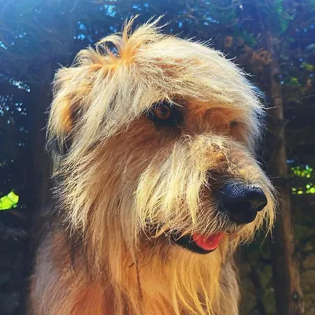 Hotel La Llosa De Samano