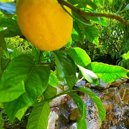 Hotel La Llosa De Samano