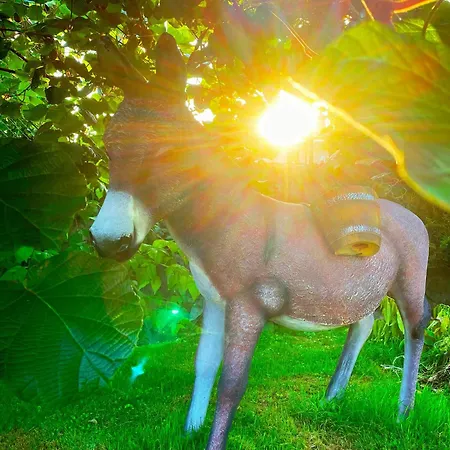 Hotel La Llosa De Samano 2*