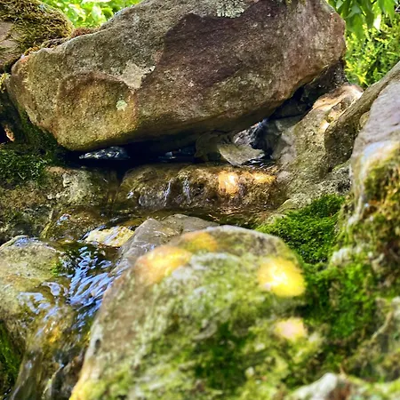 Hotel La Llosa De Samano 2*