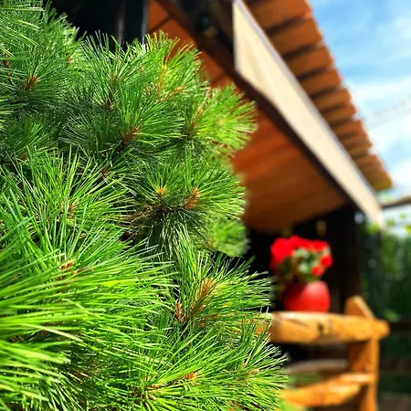 Hotel La Llosa De Samano Castro Urdiales