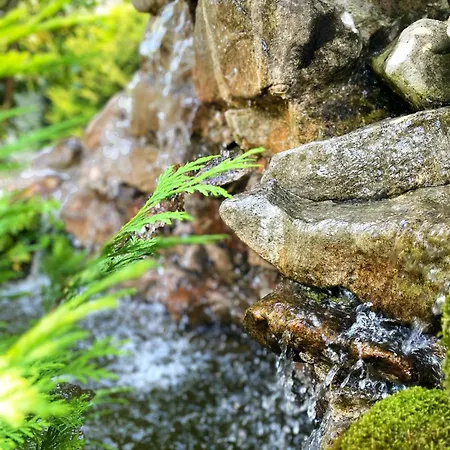 La Llosa De Samano Hotel 2*